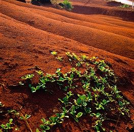 《星球大战绝地：陨落的武士团2》或在5月公布